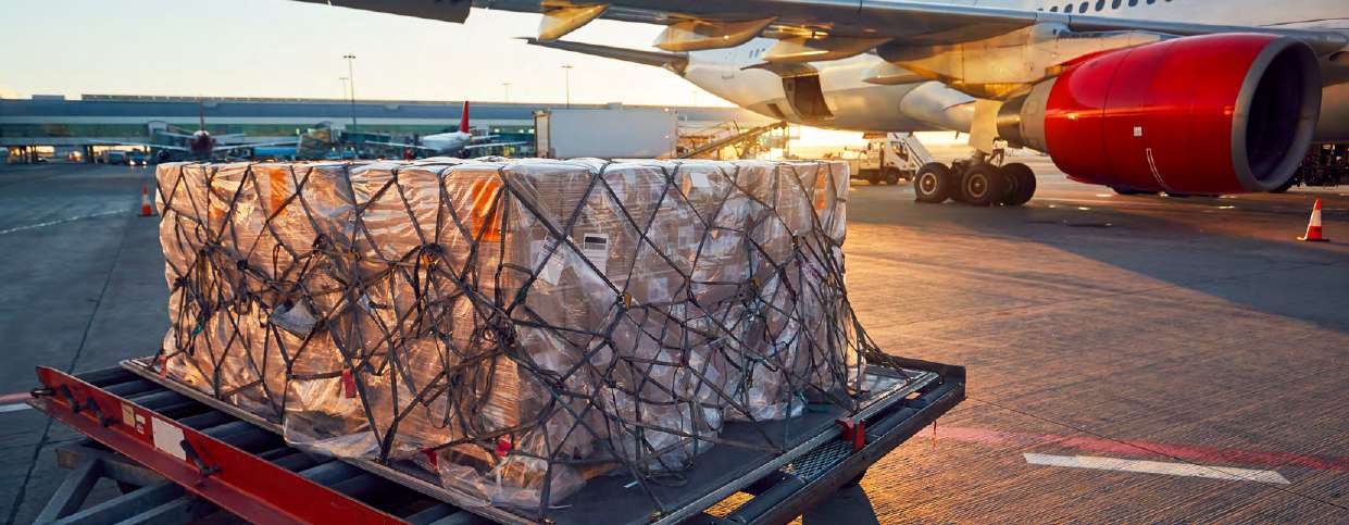 Sûreté_aéroportuaire_sûreté_11239